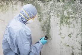 Mold Documentation for Insurance Claims in Clear Lake, WI